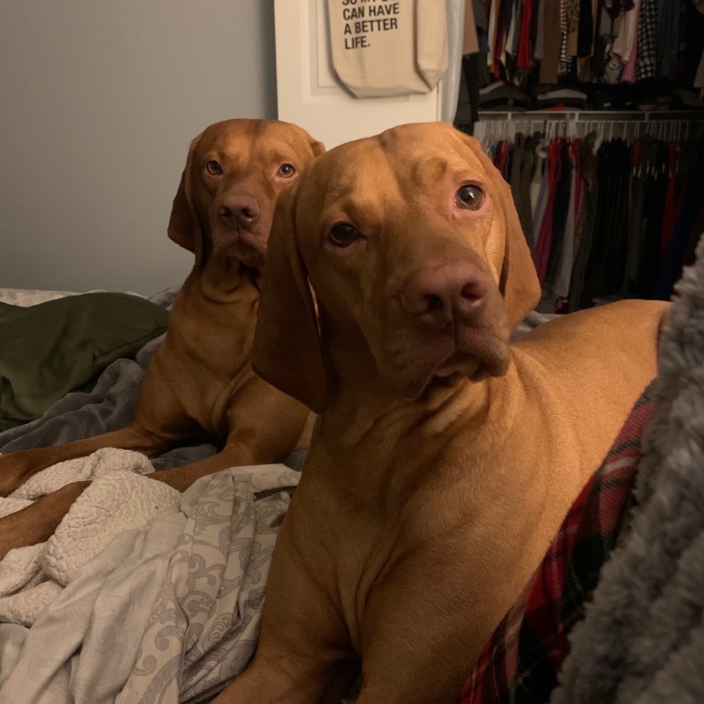 Meet your Posher, Marzena